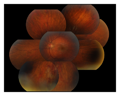 Details are in the caption following the image Details are in the caption following the image
