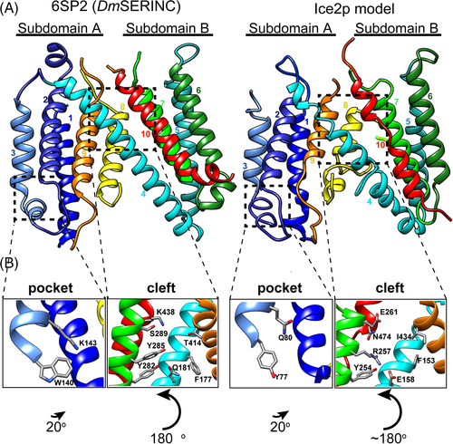 Details are in the caption following the image Details are in the caption following the image