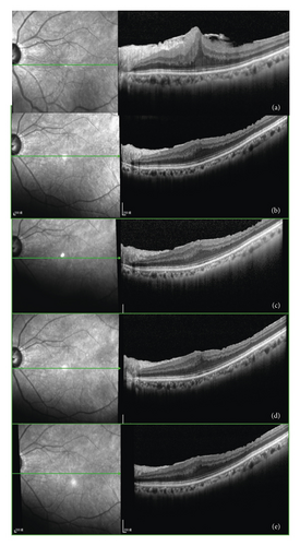 Details are in the caption following the image Details are in the caption following the image