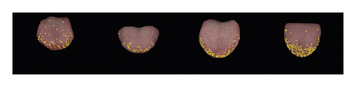 Details are in the caption following the image Details are in the caption following the image