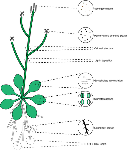 Details are in the caption following the image Details are in the caption following the image