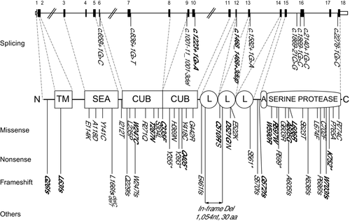 Details are in the caption following the image Details are in the caption following the image