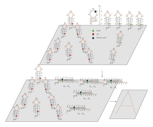 Details are in the caption following the image Details are in the caption following the image