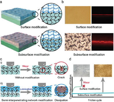 Robust and Lubricating Interface Semi-Interpenetrating Network on Inert Polymer Substrates Enabled by Subsurface-Initiated Polymerization
