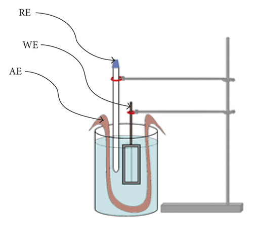 Details are in the caption following the image Details are in the caption following the image