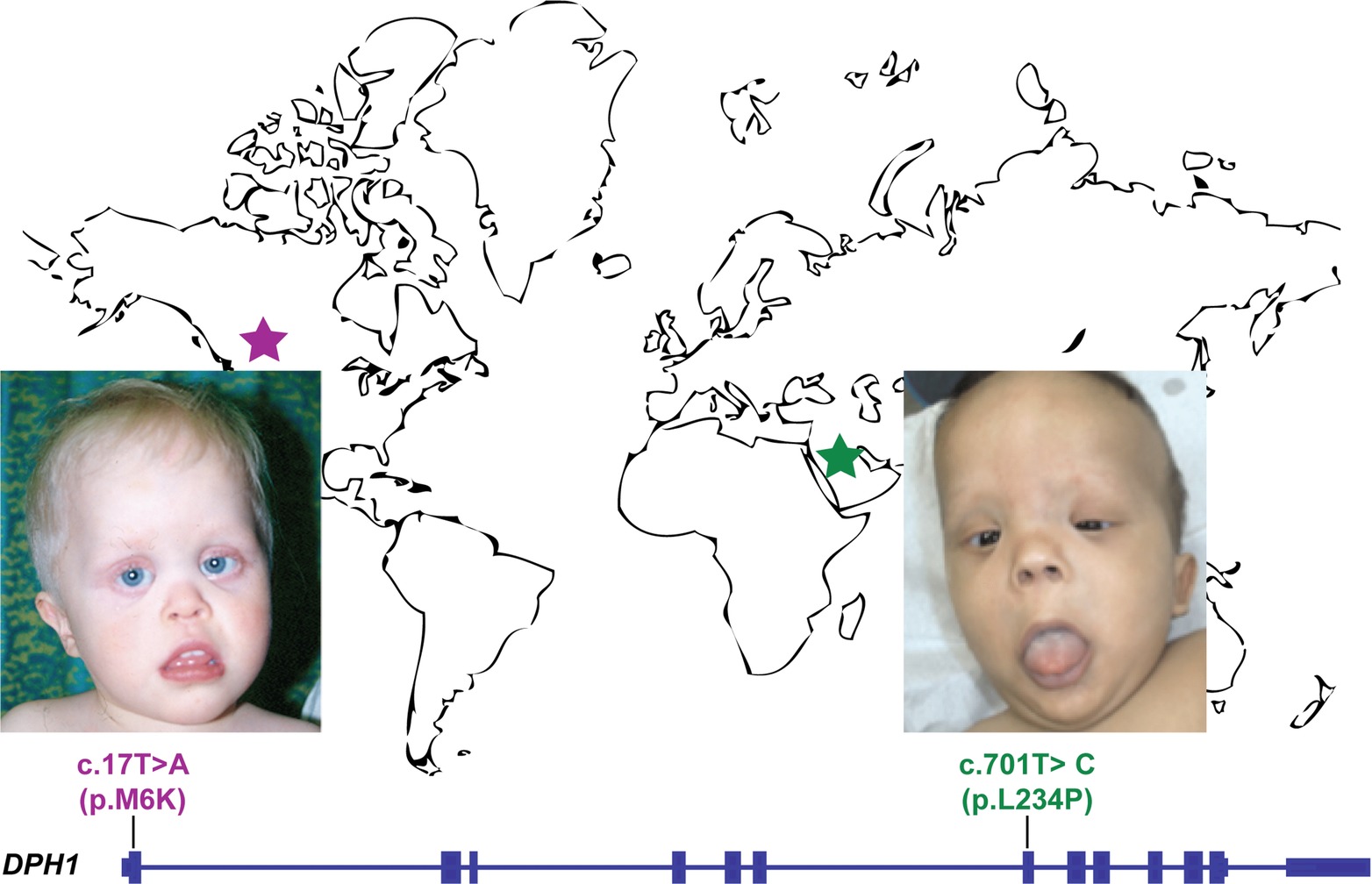 Matching Two Independent Cohorts Validates DPH1 as a Gene Responsible for Autosomal Recessive Intellectual Disability with Short Stature, Craniofacial, and Ectodermal Anomalies