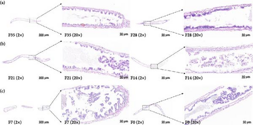 Details are in the caption following the image Details are in the caption following the image