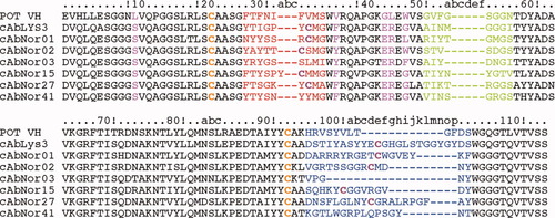Details are in the caption following the image Details are in the caption following the image