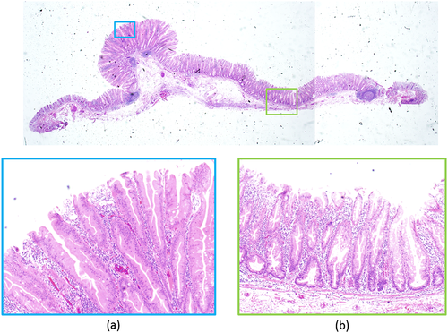 Details are in the caption following the image Details are in the caption following the image