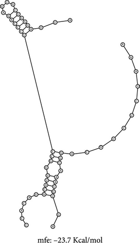 Details are in the caption following the image