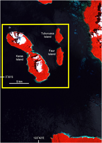 Details are in the caption following the image