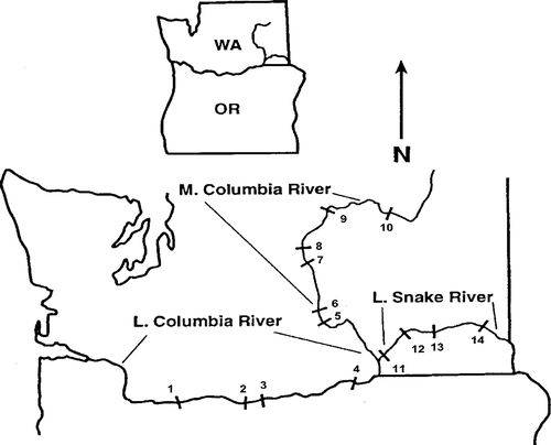 Details are in the caption following the image