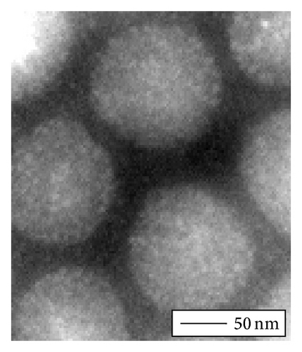 Details are in the caption following the image