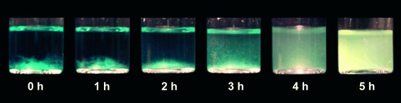 Depolymerization of Cellulose Using Solid Catalysts in Ionic Liquids