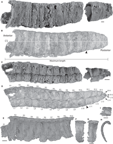 Details are in the caption following the image