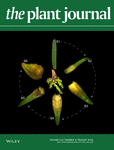 The Plant Journal