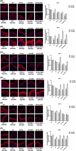 Details are in the caption following the image Details are in the caption following the image