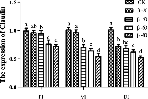 Details are in the caption following the image Details are in the caption following the image
