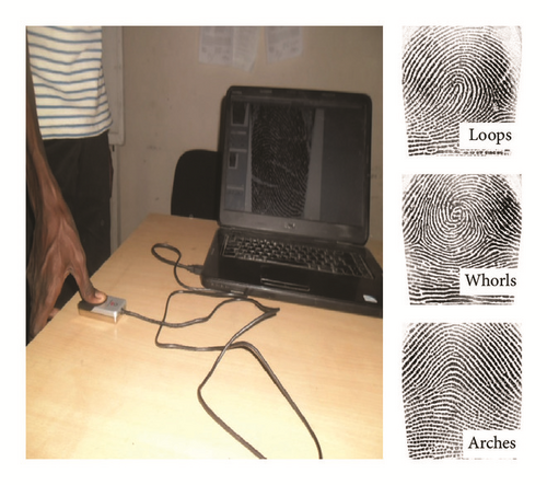 Details are in the caption following the image Details are in the caption following the image