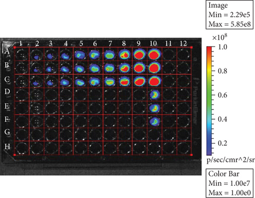 Details are in the caption following the image Details are in the caption following the image