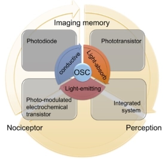 Towards Artificial Visual Sensory System: Organic Optoelectronic Synaptic Materials and Devices