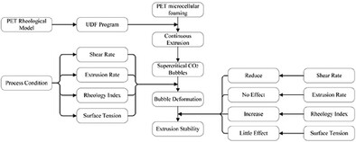 Numerical Simulation and Analysis of CO2 Bubble Deformation in PET Continuous Extrusion Process