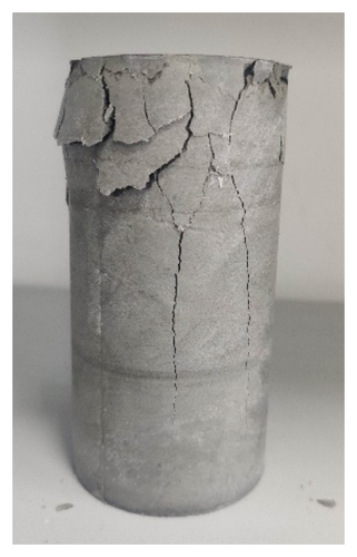 Details are in the caption following the image Details are in the caption following the image