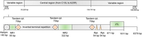 Details are in the caption following the image Details are in the caption following the image