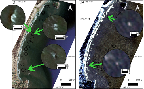 Details are in the caption following the image Details are in the caption following the image