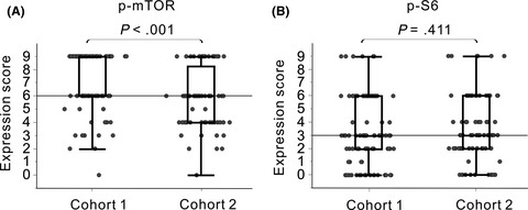 Metastatic role of mammalian target of rapamycin signaling activation by chemoradiotherapy in advanced rectal cancer