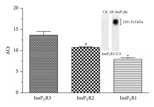Details are in the caption following the image