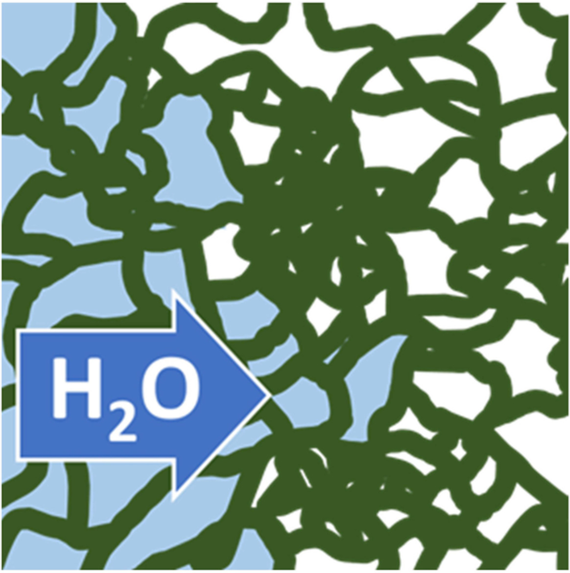 Internal topology and water transport in tetrafunctional epoxy resins