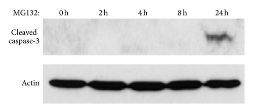 Details are in the caption following the image