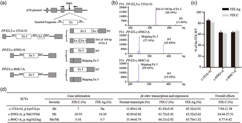 Details are in the caption following the image Details are in the caption following the image