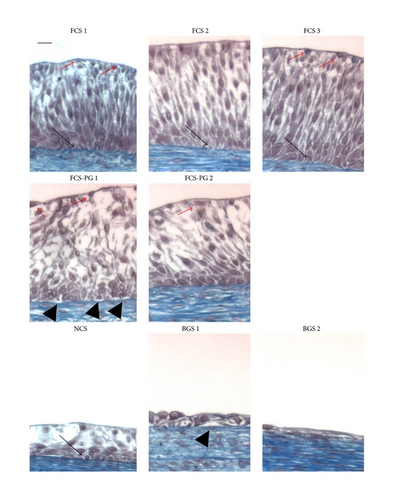 Details are in the caption following the image Details are in the caption following the image