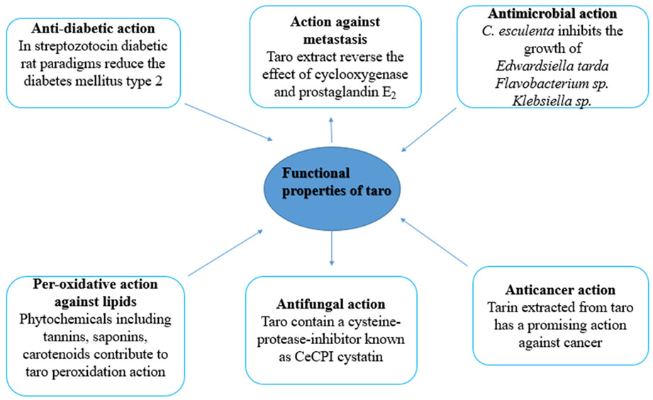 Functional profile and encapsulating properties of Colocasia esculenta (Taro)