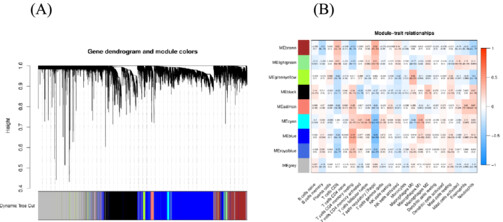 A Treg-related riskscore model may improve the prognosis evaluation of colorectal cancer