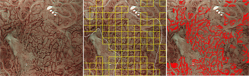 Details are in the caption following the image