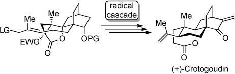 Total Synthesis of (+)-Crotogoudin