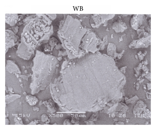 Details are in the caption following the image