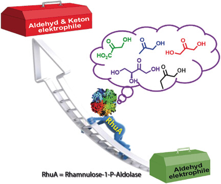 Synthesis of Branched-Chain Sugars with a DHAP-Dependent Aldolase: Ketones are Electrophile Substrates of Rhamnulose-1-phosphate Aldolases