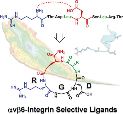 From a Helix to a Small Cycle: Metadynamics-Inspired αvβ6 Integrin Selective Ligands