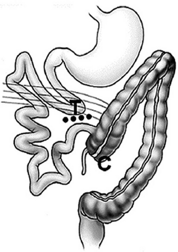 Details are in the caption following the image Details are in the caption following the image