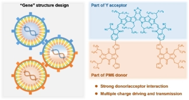 “Double-Gene” Small Molecule as Guest Component Promotes the Efficiency of Organic Solar Cells Beyond 19.5 %