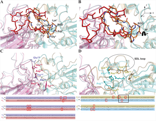 Details are in the caption following the image Details are in the caption following the image