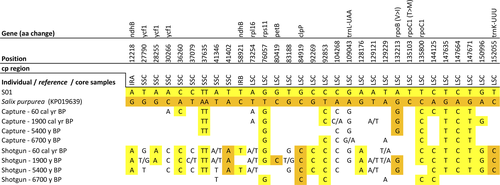 Details are in the caption following the image Details are in the caption following the image