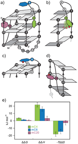Details are in the caption following the image