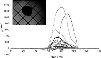 Prediction of Bubble Sizes in Bubble Columns with Machine Learning Methods