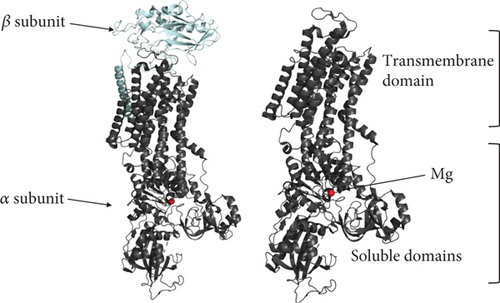 Details are in the caption following the image Details are in the caption following the image