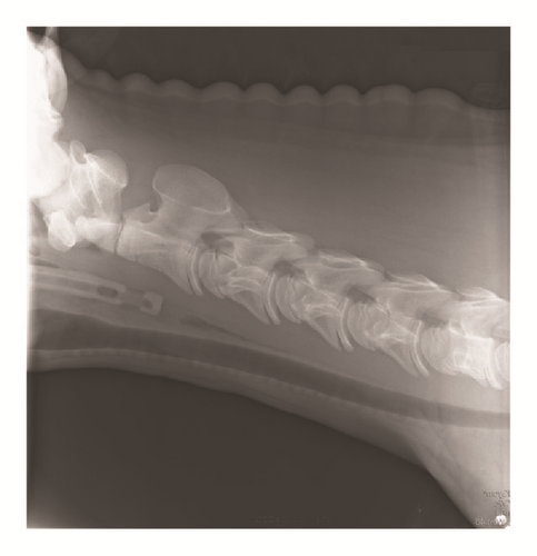 Details are in the caption following the image